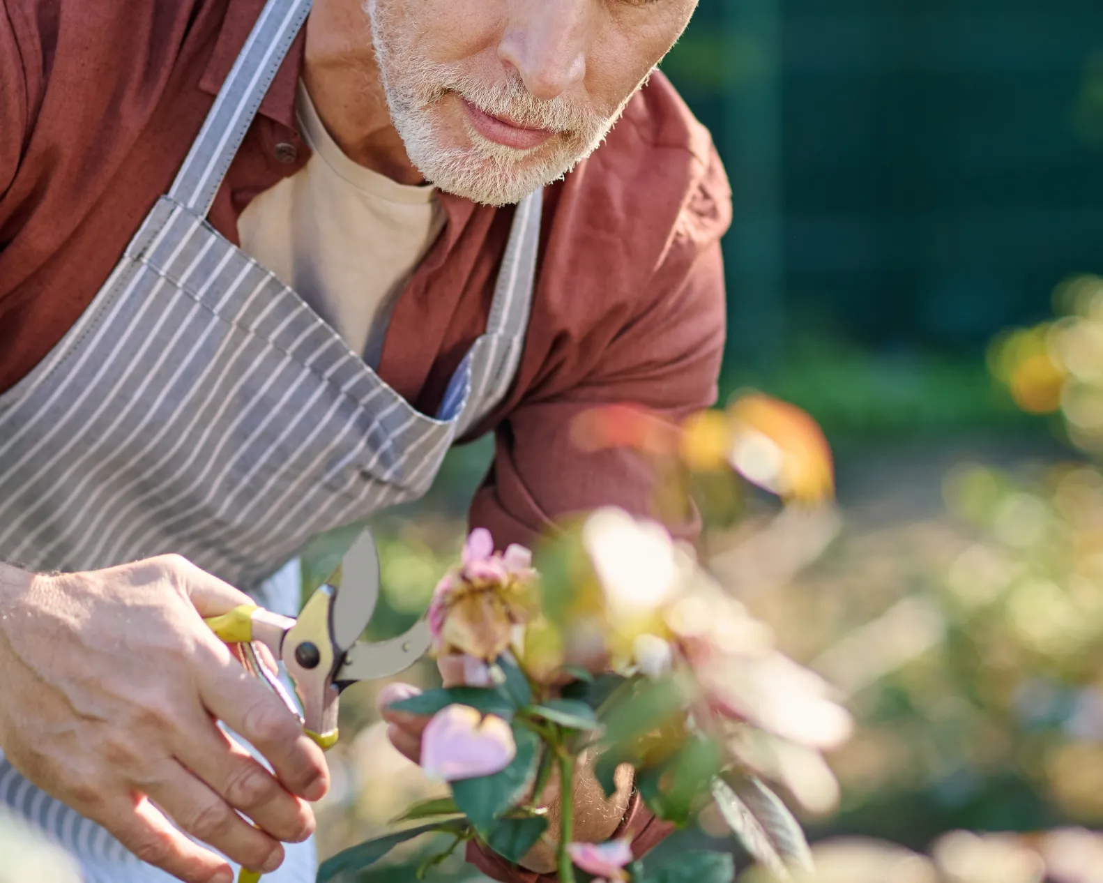 A pool surrounded by lounge chairs and palm trees.