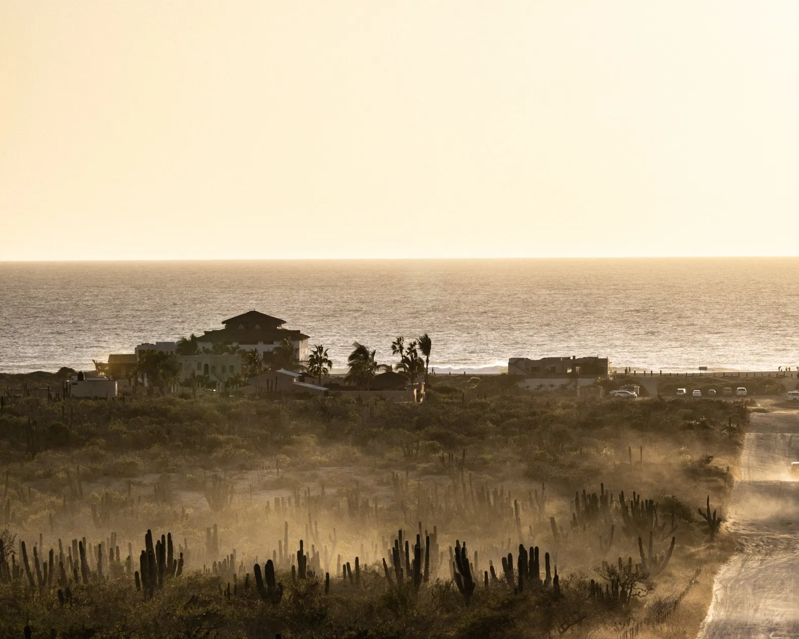 A pool surrounded by lounge chairs and palm trees.